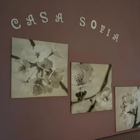 Casa Sofia *